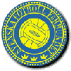 Schwedischer Fußballverband